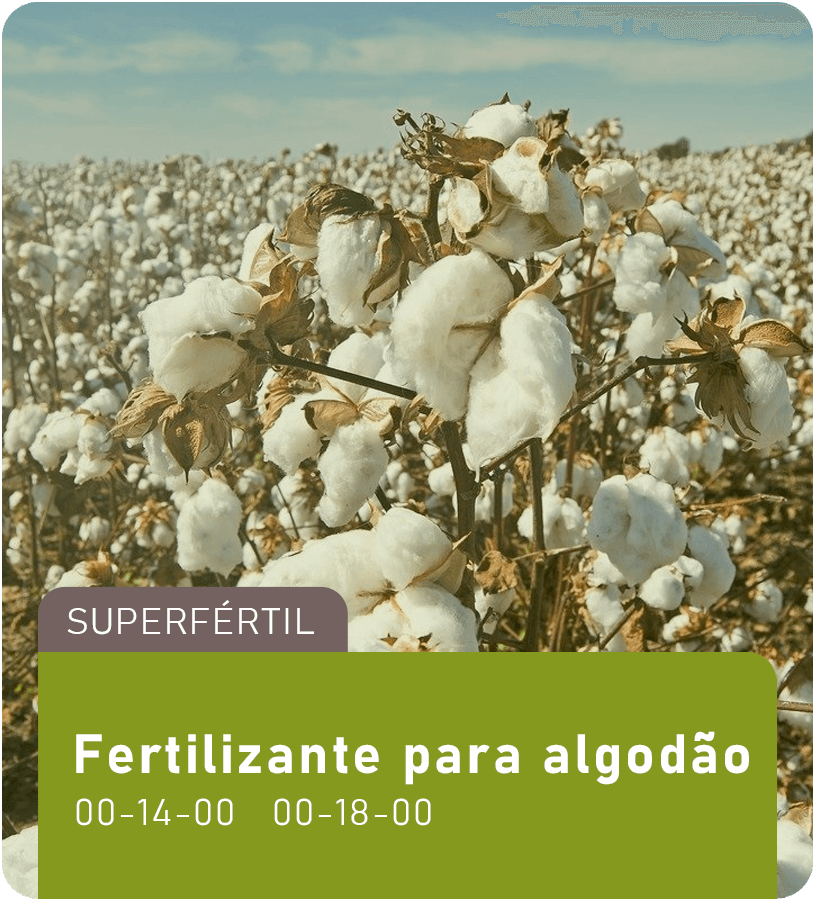 Fertilizante para algodão