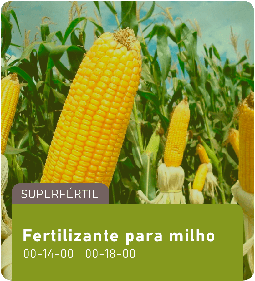 Fertilizante para milho