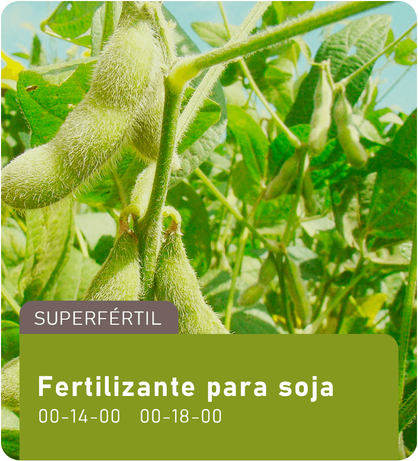 Fertilizante para Soja